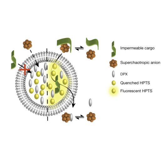 Publication image